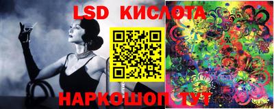 индика Будённовск
