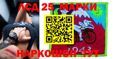 индика Будённовск