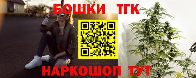 индика Будённовск